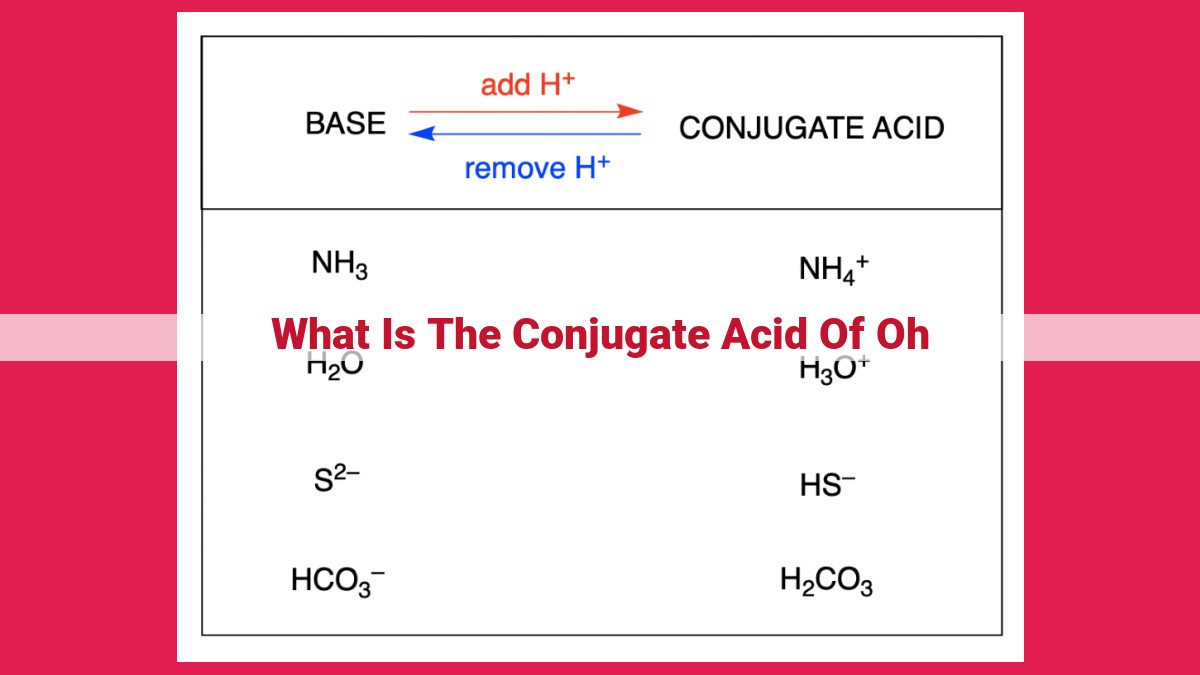 what is the conjugate acid of oh