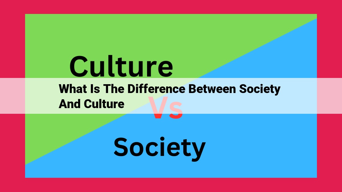 what is the difference between society and culture