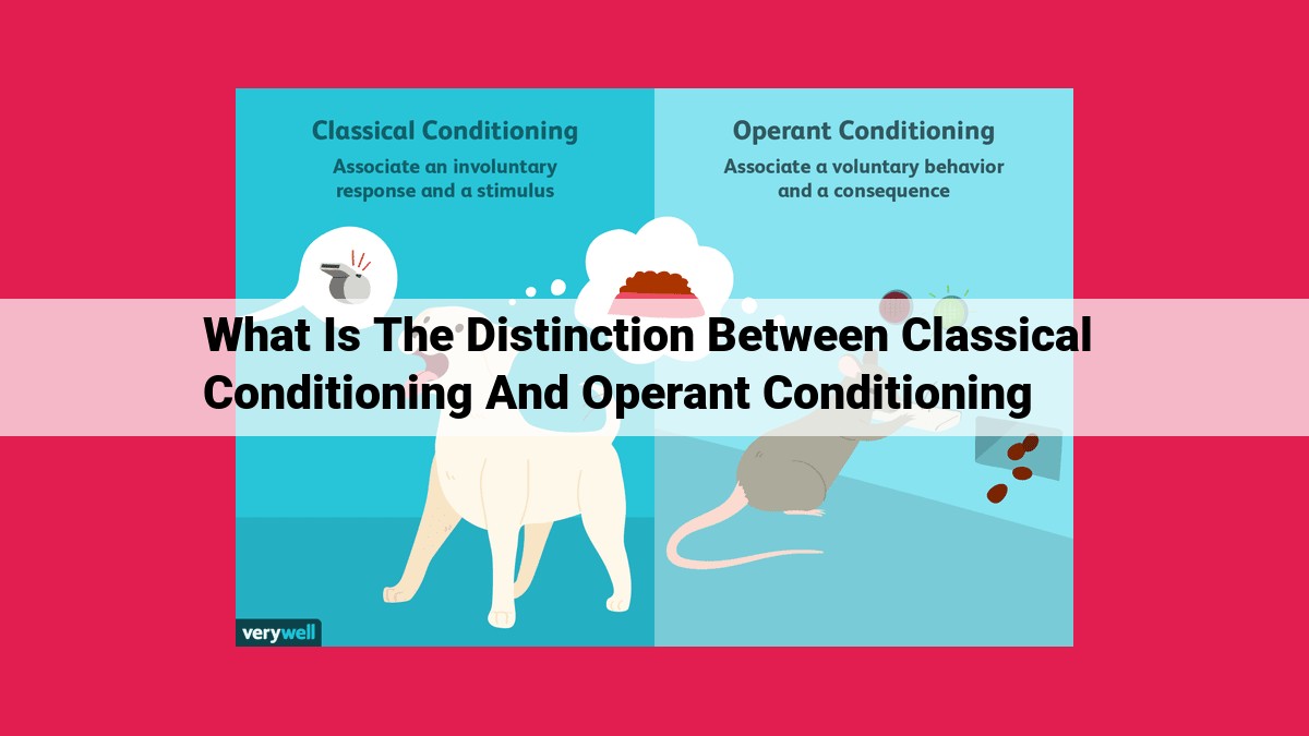 what is the distinction between classical conditioning and operant conditioning