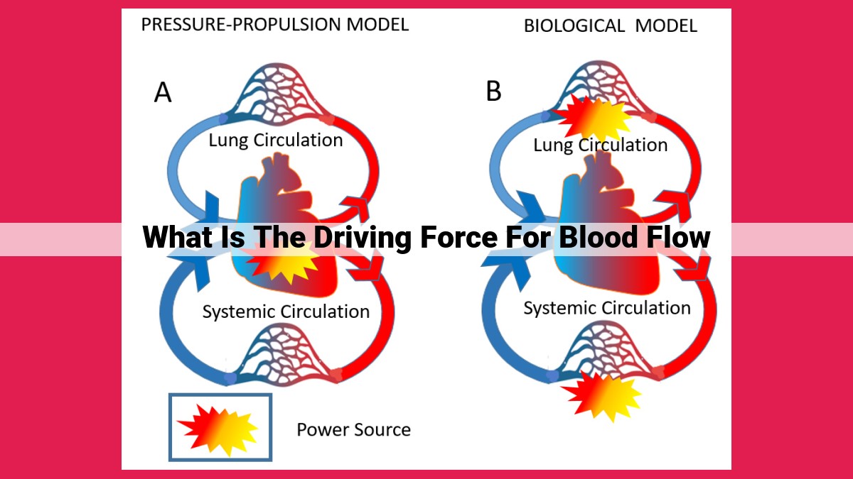 what is the driving force for blood flow