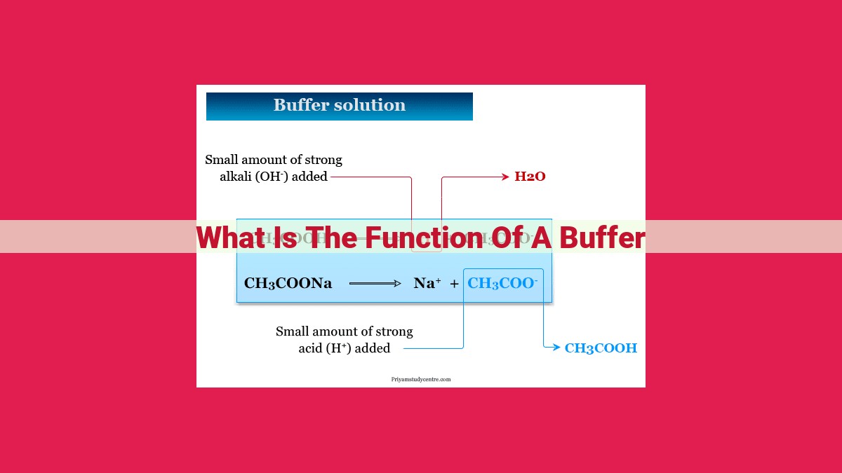 what is the function of a buffer