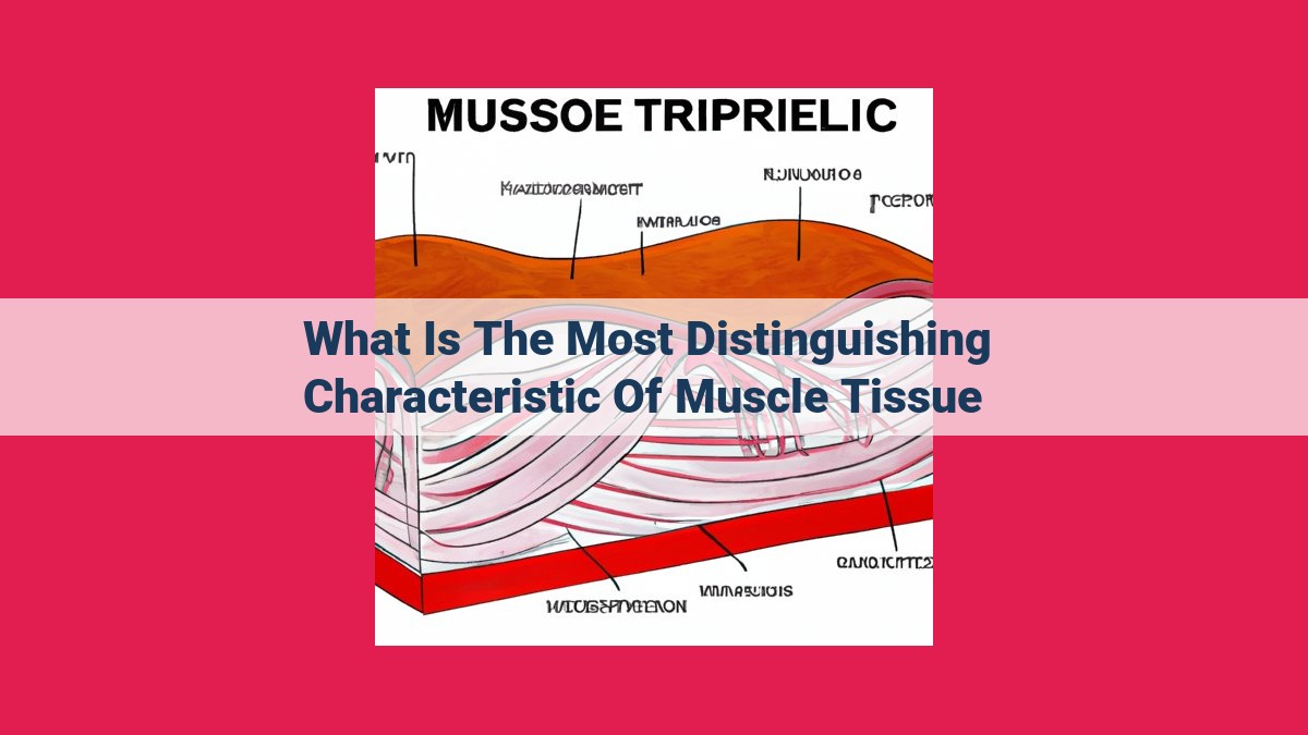 what is the most distinguishing characteristic of muscle tissue