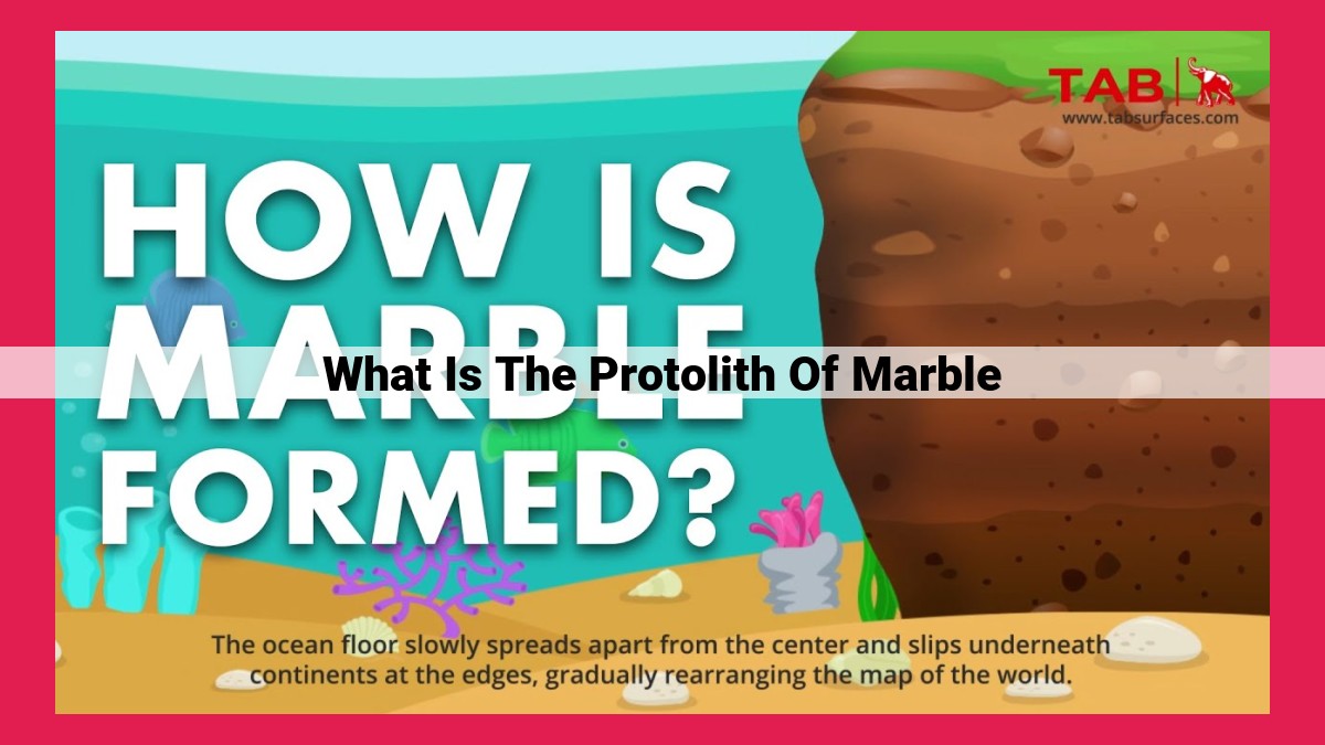 what is the protolith of marble