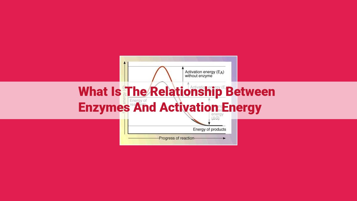 what is the relationship between enzymes and activation energy