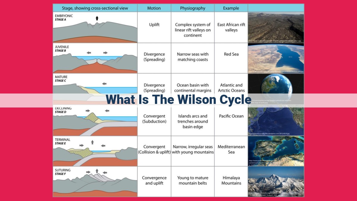 what is the wilson cycle