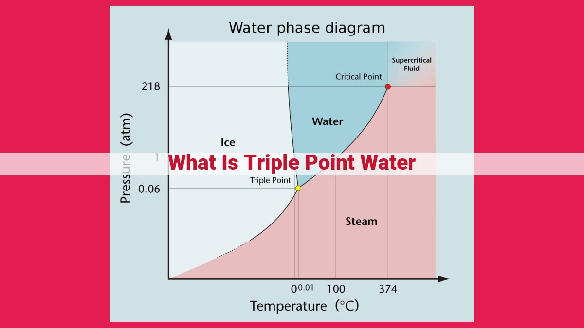 what is triple point water