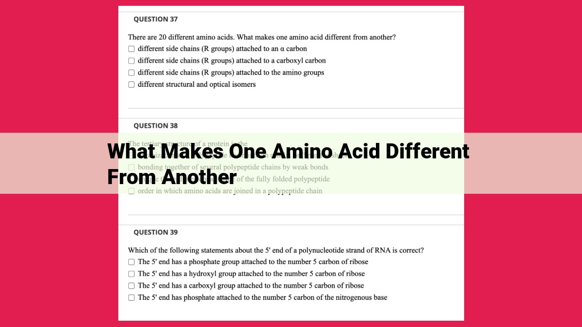 what makes one amino acid different from another