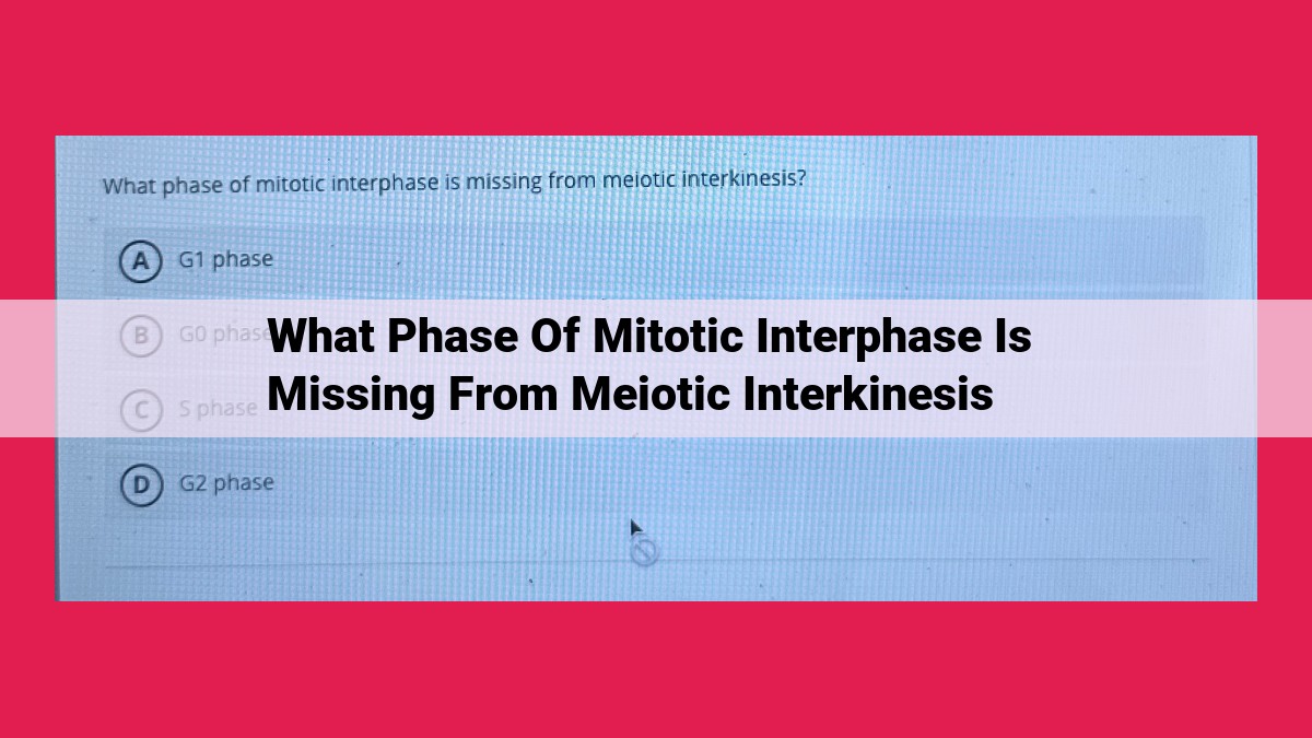 what phase of mitotic interphase is missing from meiotic interkinesis