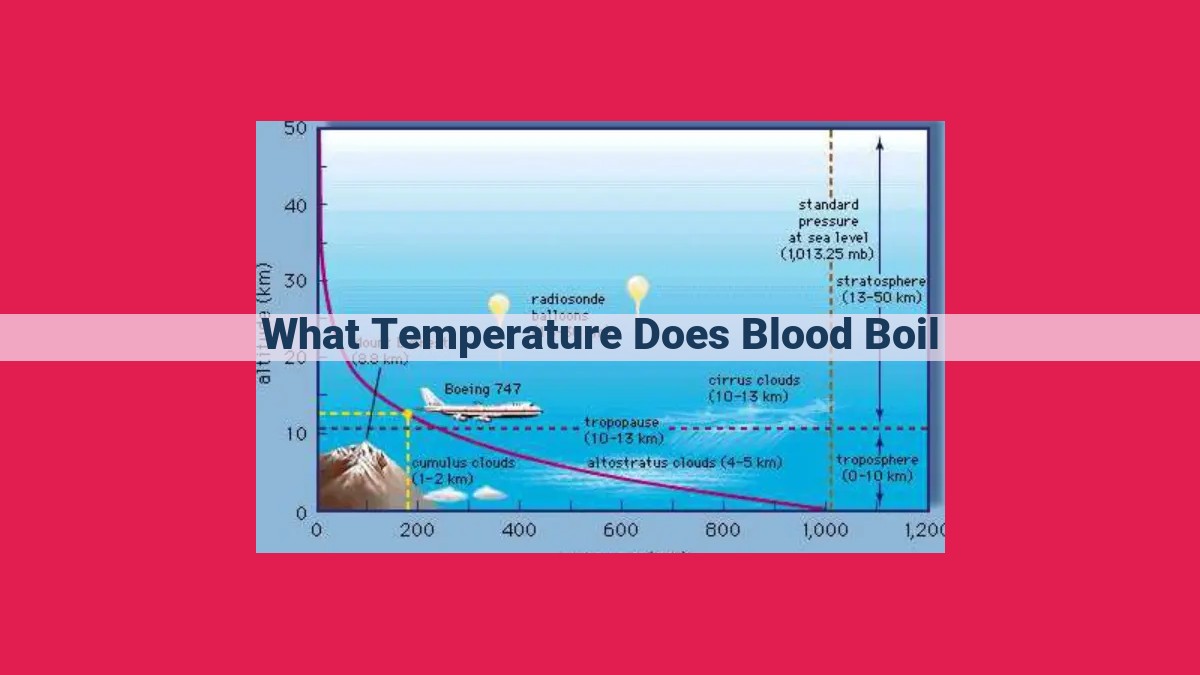 what temperature does blood boil