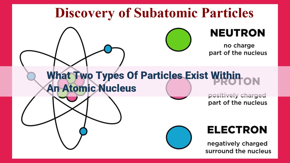 what two types of particles exist within an atomic nucleus