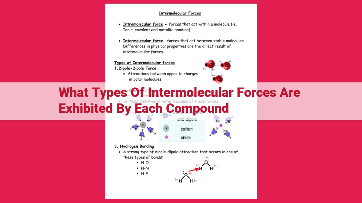 what types of intermolecular forces are exhibited by each compound