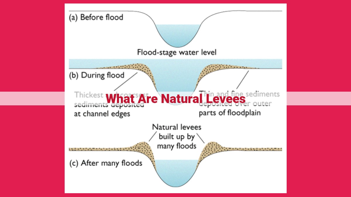 what are natural levees