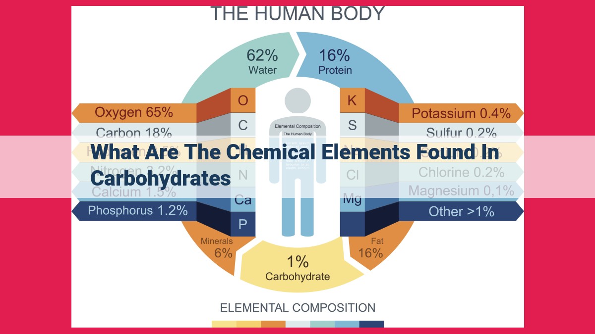 what are the chemical elements found in carbohydrates