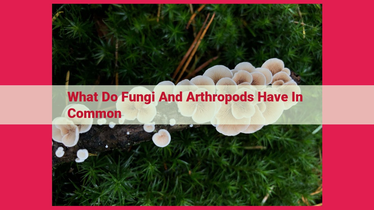 what do fungi and arthropods have in common