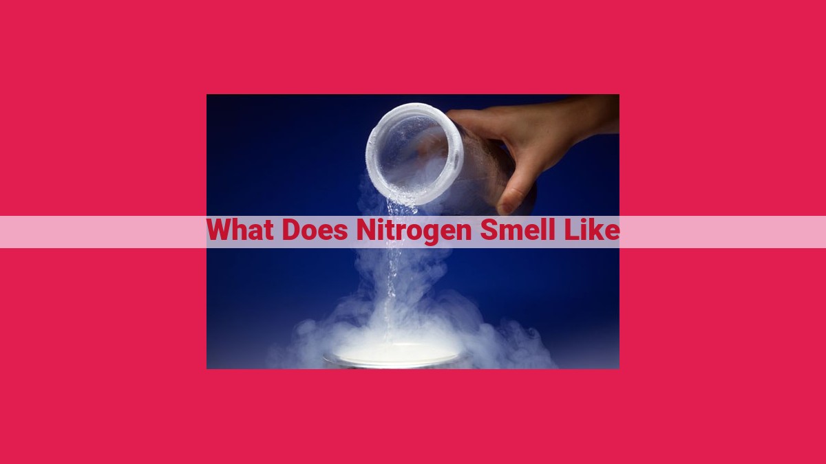 what does nitrogen smell like