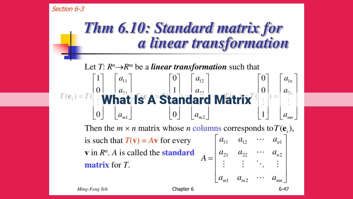 what is a standard matrix