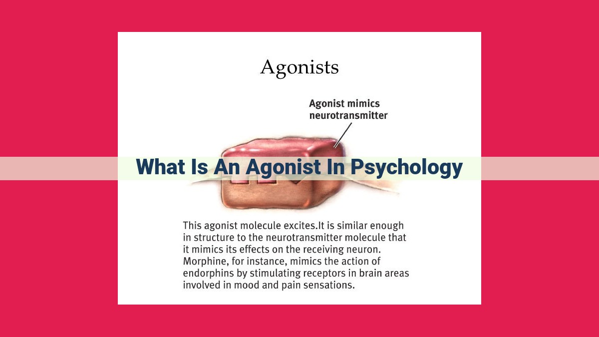 what is an agonist in psychology