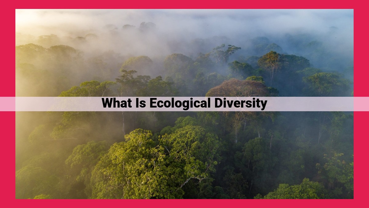 what is ecological diversity