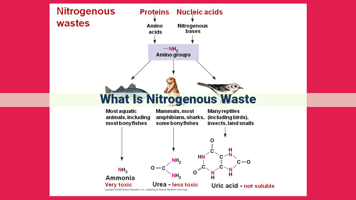 what is nitrogenous waste