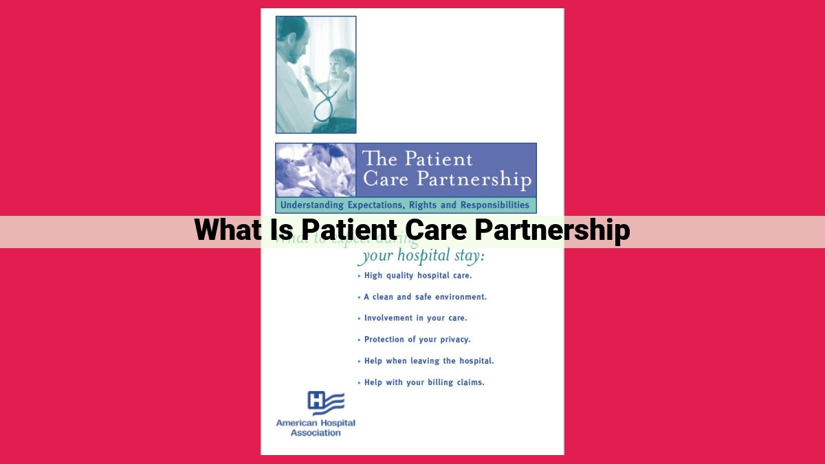 what is patient care partnership