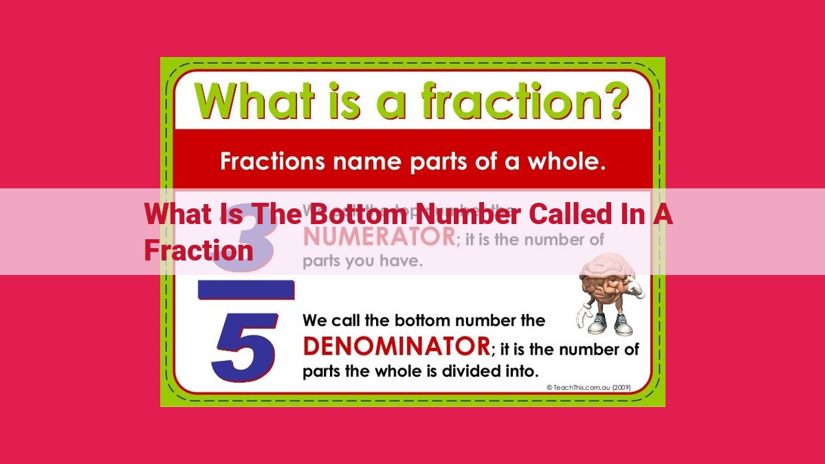 what is the bottom number called in a fraction