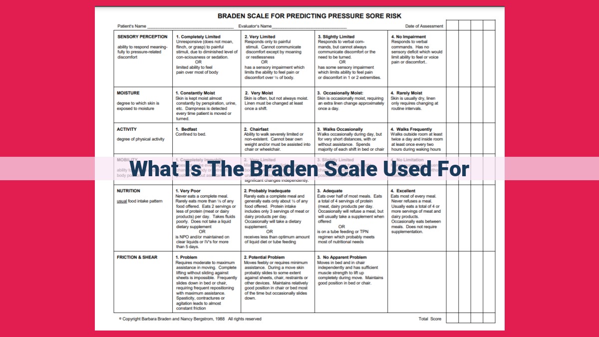 what is the braden scale used for