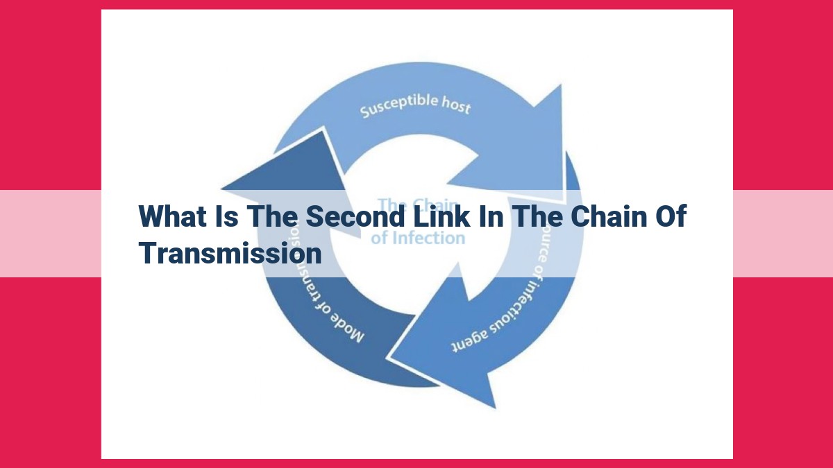 what is the second link in the chain of transmission