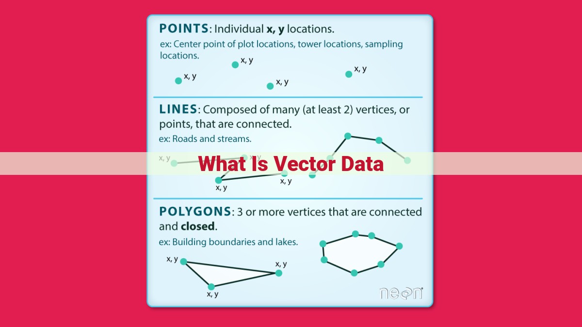 what is vector data