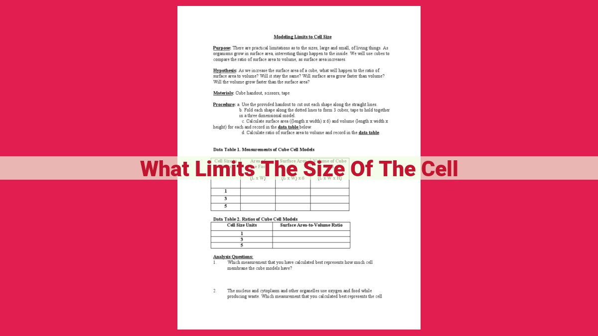 what limits the size of the cell