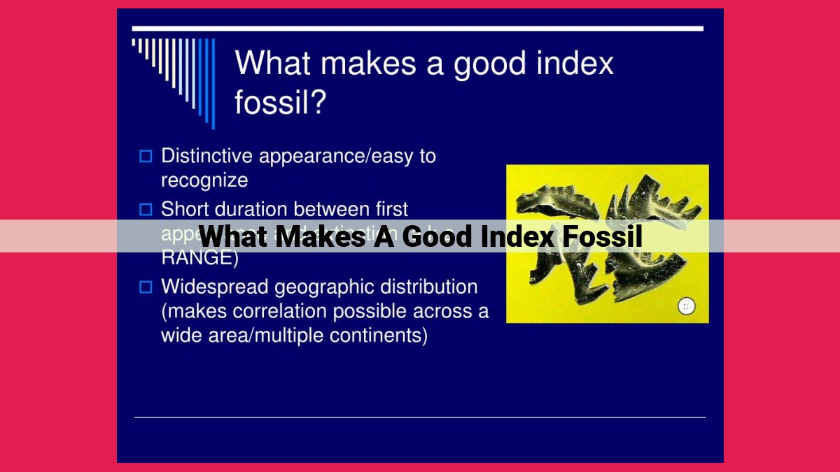 what makes a good index fossil