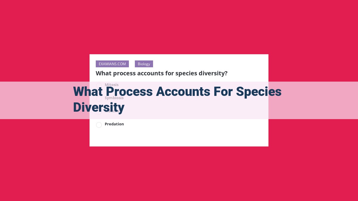 what process accounts for species diversity